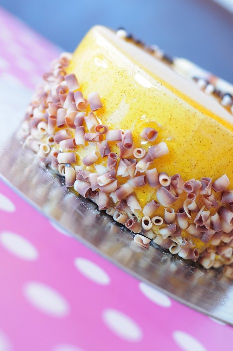 Vanilla Ice Cream Cake